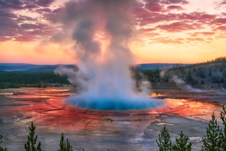 Yellowstone park : Un Trésor Géothermique et Écologique