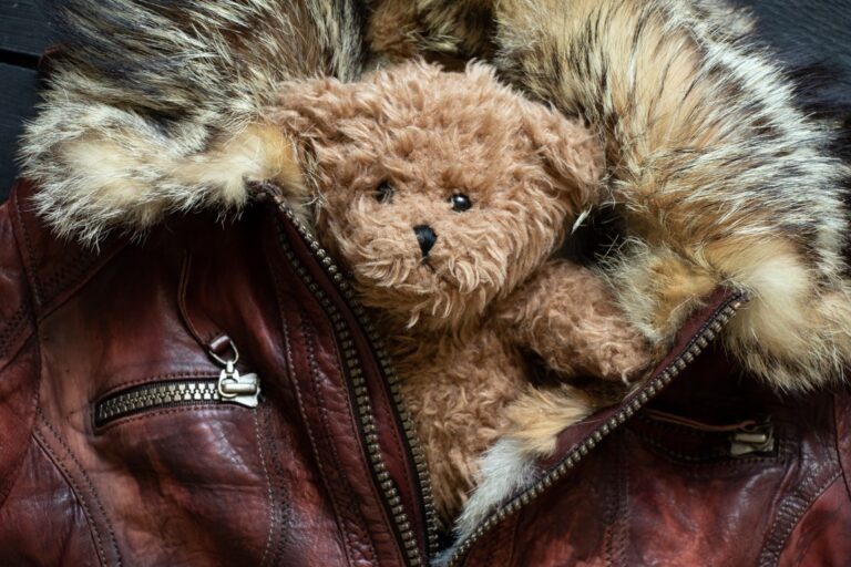 Guide ultime pour choisir le blouson teddy homme